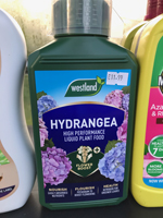 Hydrangea liquid feed